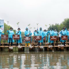 Nusantaraversary Green Fest PLN NP Tanam 16.213 Pohon, Mampu Tekan Emisi 486 ton CO₂ per tahun