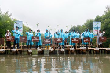 Nusantaraversary Green Fest PLN NP Tanam 16.213 Pohon, Mampu Tekan Emisi 486 ton CO₂ per tahun