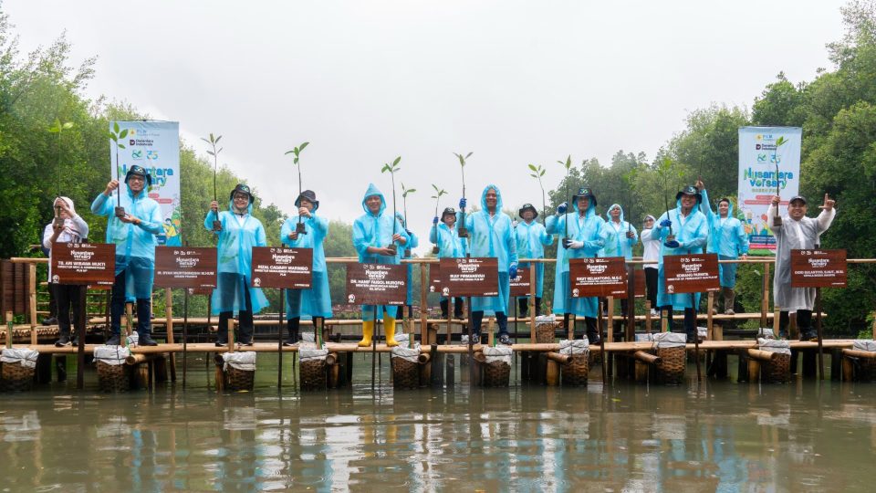 Nusantaraversary Green Fest PLN NP Tanam 16.213 Pohon, Mampu Tekan Emisi 486 ton CO₂ per tahun