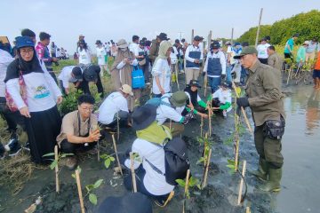 PLN Rehabilitasi Mangrove Lindungi Pesisir Utara Jateng dari Banjir Rob