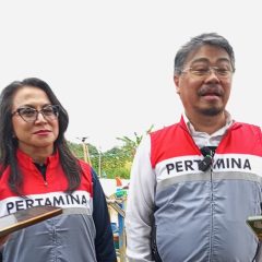 Dukung Transisi Energi, Pertamina NRE Bidik Pengembangan PLTN
