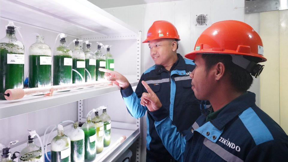Kolaborasi Pertamina Hulu Energi dan Patra Drilling Contractor Dukung Net Zero Emission dengan Energi Alam MicroAlgae
