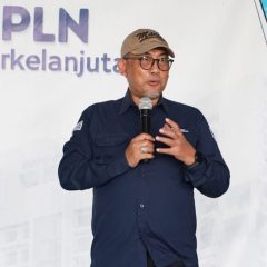 Penguatan Lembaga dan Regulasi Dorong Pengembangan Energi Terbarukan