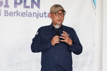 Penguatan Lembaga dan Regulasi Dorong Pengembangan Energi Terbarukan