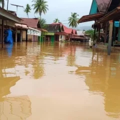 WALHI Sumut Indikasikan Tujuh Perusahaan Pemicu Bencana Ekologis di Tapanuli