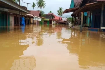 WALHI Sumut Indikasikan Tujuh Perusahaan Pemicu Bencana Ekologis di Tapanuli
