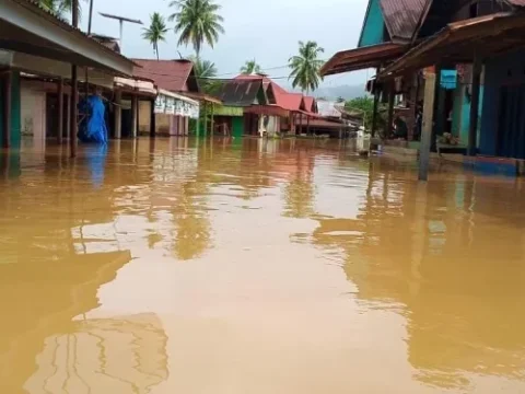 WALHI Sumut Indikasikan Tujuh Perusahaan Pemicu Bencana Ekologis di Tapanuli
