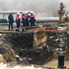 PLTP Geo Dipa Bakal Diperluas, Ini Rencananya