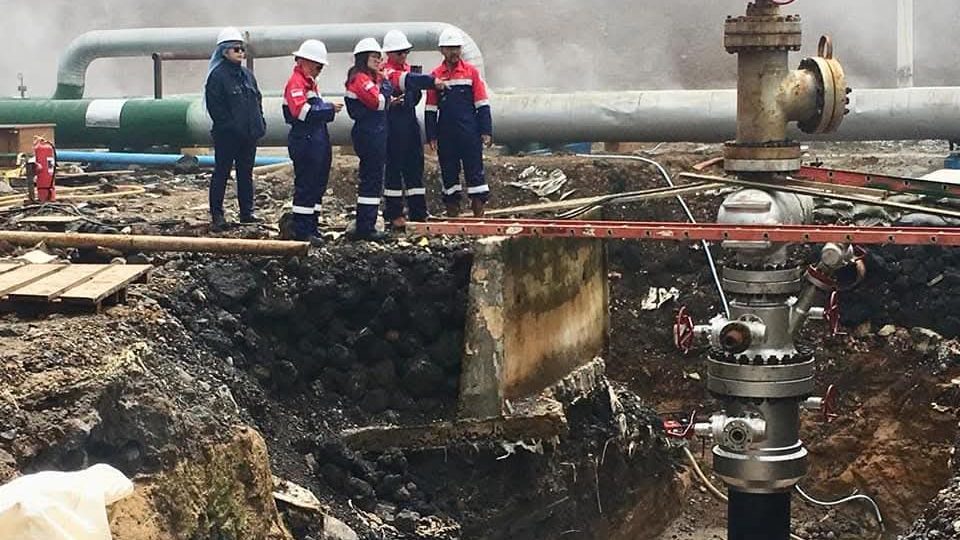 PLTP Geo Dipa Bakal Diperluas, Ini Rencananya