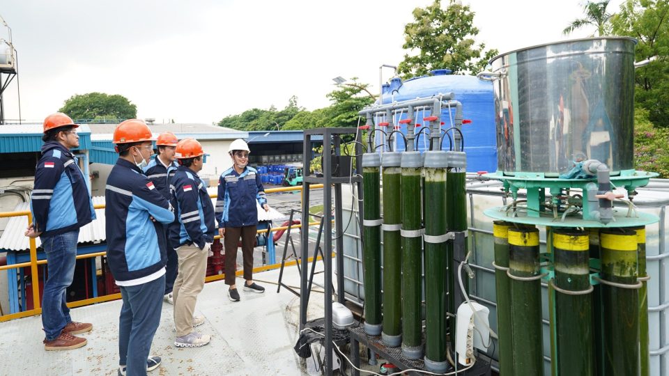 Perkuat Komitmen Lingkungan dan Inovasi Berkelanjutan,  Dewan Komisaris dan Komite Audit PDC Tinjau Proyek MicroAlgae