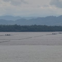 PLTS Karangkates dan Tembesi Dikebut, PLN Nusantara Power Target Operasi Akhir 2026
