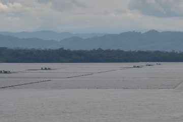PLTS Karangkates dan Tembesi Dikebut, PLN Nusantara Power Target Operasi Akhir 2026