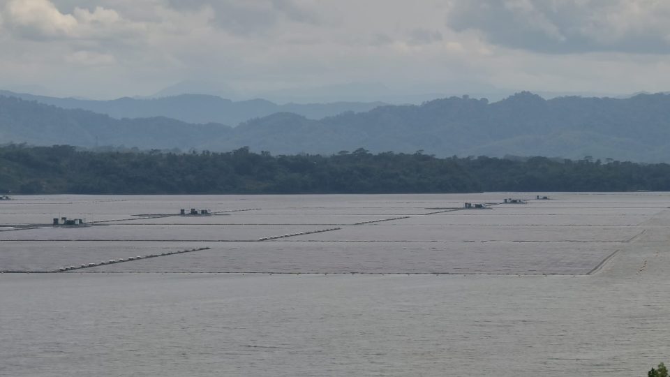 PLTS Karangkates dan Tembesi Dikebut, PLN Nusantara Power Target Operasi Akhir 2026