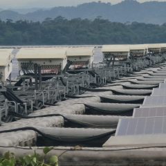 PLTS Terapung Cirata Jadi Tonggak Pengembangan PLTS Terapung Skala Besar