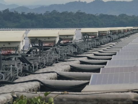 PLTS Terapung Cirata Jadi Tonggak Pengembangan PLTS Terapung Skala Besar