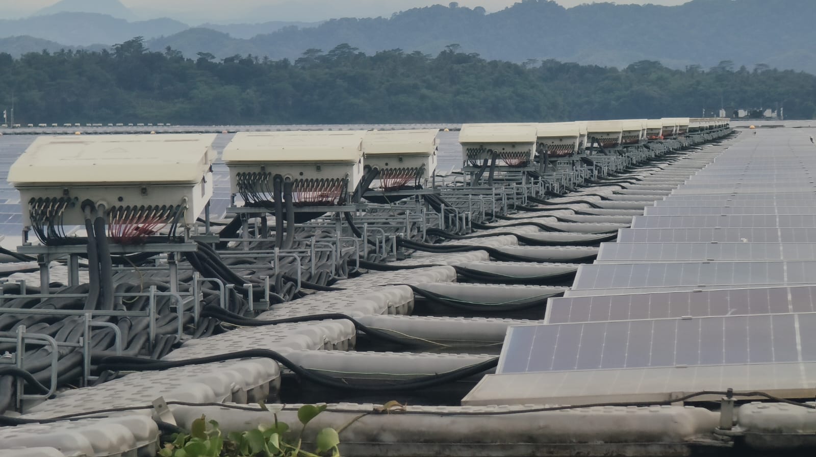 PLTS Terapung Cirata Jadi Tonggak Pengembangan PLTS Terapung Skala Besar