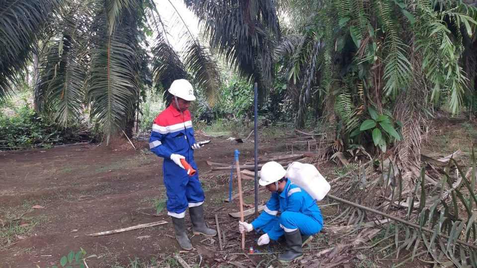 Elnusa Tingkatkan Kemampuan Jasa Eksplorasi Demi Ekspansi Bisnis ke Indonesia Timur