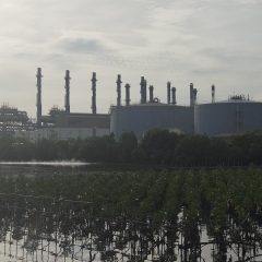 Cerita Bahlil Ada Upaya Sabotase RDMP Kilang Demi Muluskan Impor BBM Berlanjut