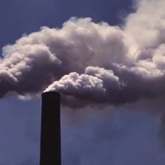 Kualitas Bahan Bakar dan Emisi Bermasalah, KLH Hentikan Operasi Pabrik Kertas di Banten