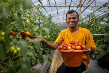35 Hektar Lahan Terlantar Kembali Hidup, Aktivitas PETI di Sekitar Tambang Emas Pongkor Sukses Dicegah 