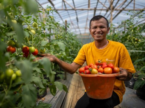 35 Hektar Lahan Terlantar Kembali Hidup, Aktivitas PETI di Sekitar Tambang Emas Pongkor Sukses Dicegah 