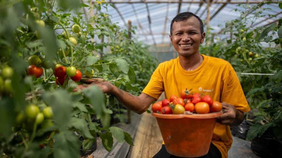 35 Hektar Lahan Terlantar Kembali Hidup, Aktivitas PETI di Sekitar Tambang Emas Pongkor Sukses Dicegah