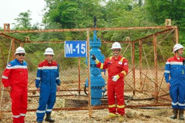 Pertamina EP dan Samudra Energy BWP Mulai EOR di Lapangan Meruap