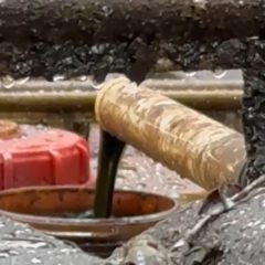 Produksi Minyak Sumur Masyarakat di Jawa Tengah Bakal Diolah di Kilang Cepu