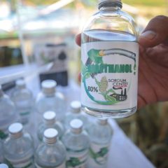 Pertamina NRE Gandeng Crectech Singapura Garap Proyek Bioetanol di Sei Mangkei