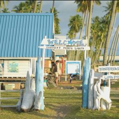 Program “Ewako Lowita” PLN IP  Hadirkan Harmoni Ekosistem dan Ekonomi