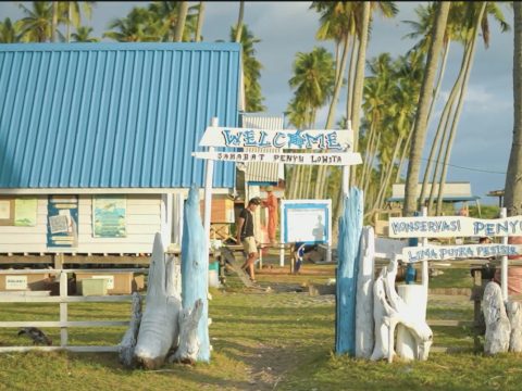 Program “Ewako Lowita” PLN IP  Hadirkan Harmoni Ekosistem dan Ekonomi