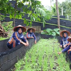 PROPER Emas Kontribusi Nyata PGE Pastikan Energi Panas Bumi Dukung Lingkungan dan Masyarakat