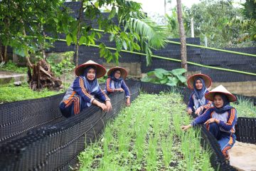 PROPER Emas Kontribusi Nyata PGE Pastikan Energi Panas Bumi Dukung Lingkungan dan Masyarakat