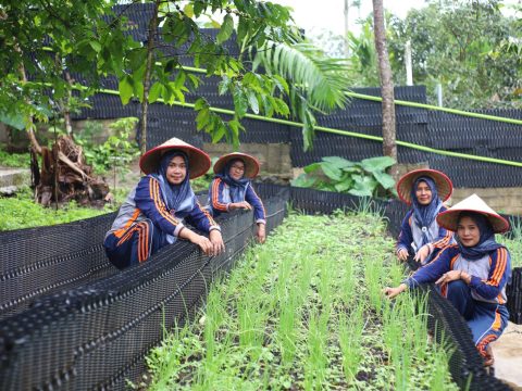 PROPER Emas Kontribusi Nyata PGE Pastikan Energi Panas Bumi Dukung Lingkungan dan Masyarakat