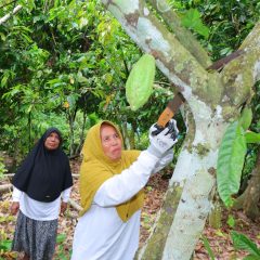 PHR Zona 1 Dorong Kemandirian Ekonomi Perempuan Kepala Keluarga di Utara Sumatra