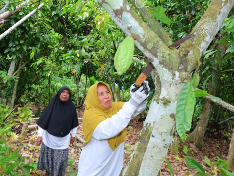 PHR Zona 1 Dorong Kemandirian Ekonomi Perempuan Kepala Keluarga di Utara Sumatra