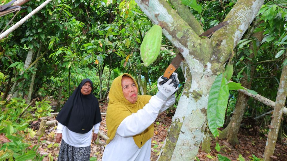 PHR Zona 1 Dorong Kemandirian Ekonomi Perempuan Kepala Keluarga di Utara Sumatra