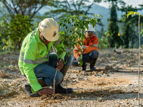 Reklamasi Tambang Emas Gosowong Mencapai 232,69 Hektar
