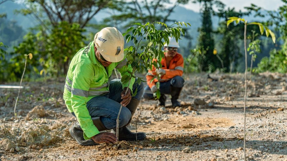 Reklamasi Tambang Emas Gosowong Mencapai 232,69 Hektar