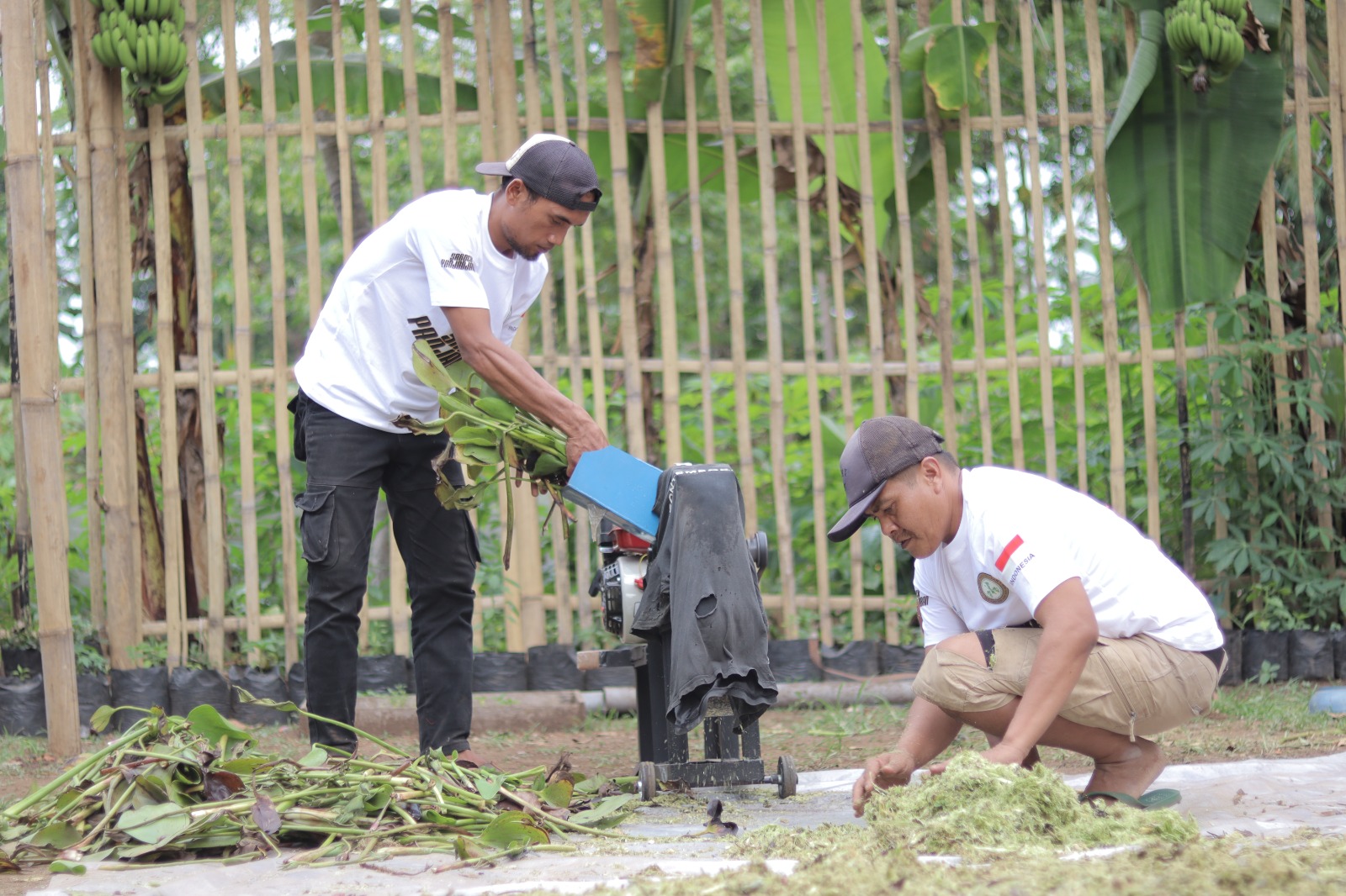 PLN Indonesia Power Ubah Ribuan Ton Sampah Jadi Energi dan Kemendirian Ekonomi