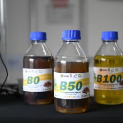 IESR Sebut Daripada B50, Lebih Baik Pertahankan B40