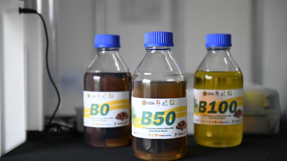 Bye Malaysia!, Pemanfaatan Biodiesel di Indonesia Jauh Lampaui Negeri Jiran