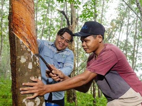 Dorong Kemandirian Masyarakat, Reswara Pastikan Bisnis Tambang Batu Bara Bawa Manfaat Nyata