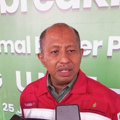 PLTP Dieng Unit 2 Wujud Komitmen Geo Dipa Energi Dorong Ketahanan Energi Nasional