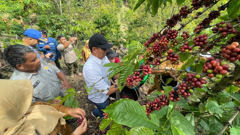 Dari Batu Bara ke Kopi, PTBA Ciptakan Sumber Penghidupan Berkelanjutan