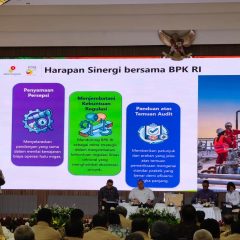 SKK Migas Dorong BPK Samakan Persepsi Nilai Kewajawaran Proyek Hulu Migas