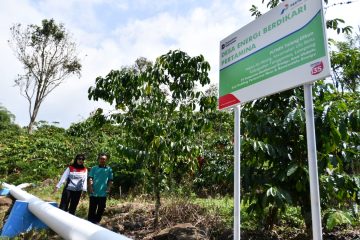 Desa Energi Berdikari Sukses Perkuat Ekonomi Masyarakat Desa
