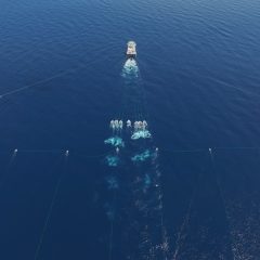 PHE Rampungkan Survei Seismik 3D di Selat Makassar