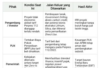 Ini Rumus Baru Selamatkan Investasi Panas Bumi