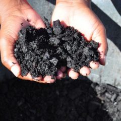 ABII Gandeng IDSurvey Perkuat Ekosistem Biochar